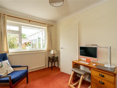 Picture 15